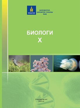 Book MN-BIO10-1238