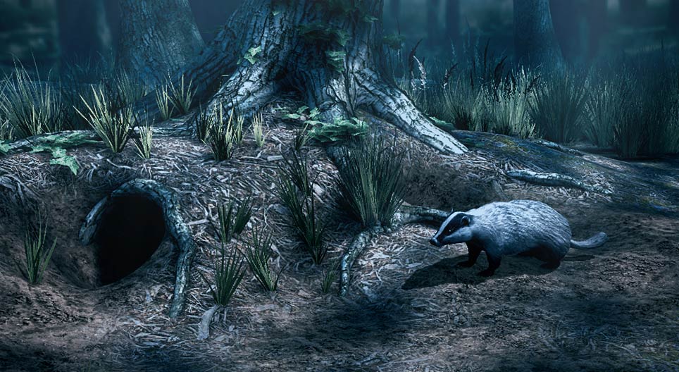 Европ дорго