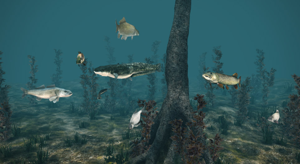 Цэнгэг усны загас