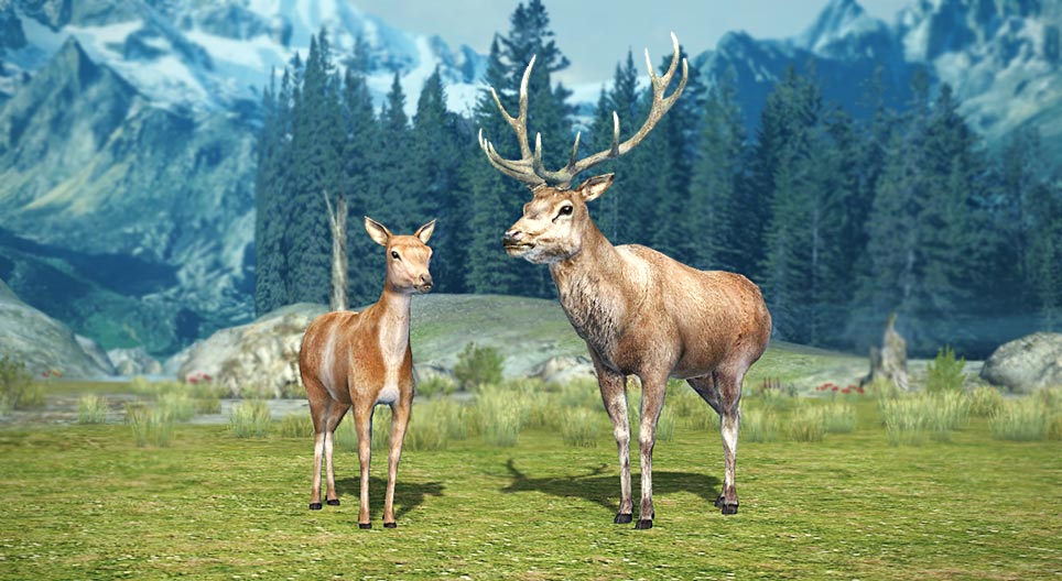 Халиун буга