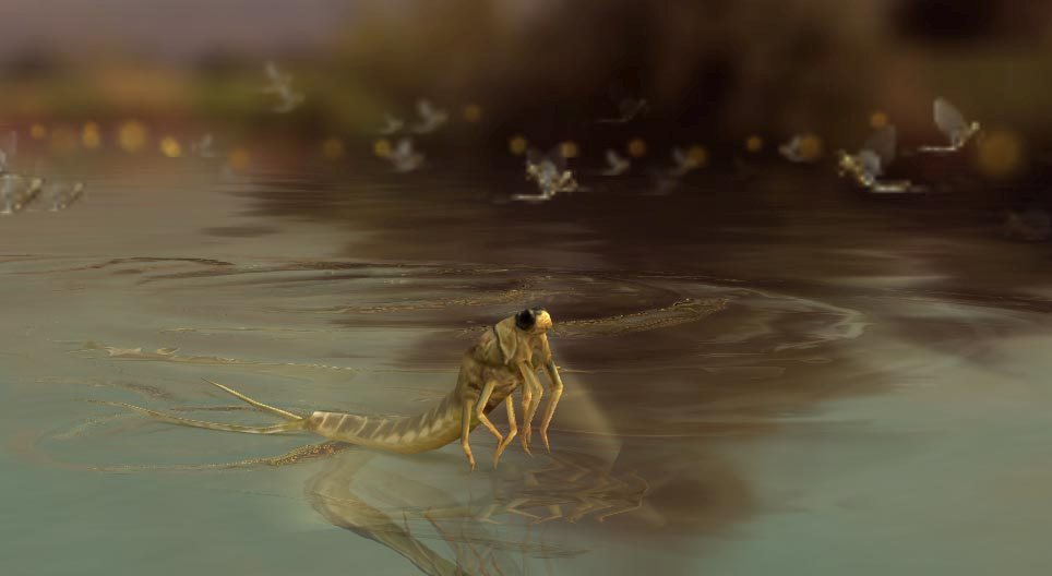 Урт сүүлт өдөрч