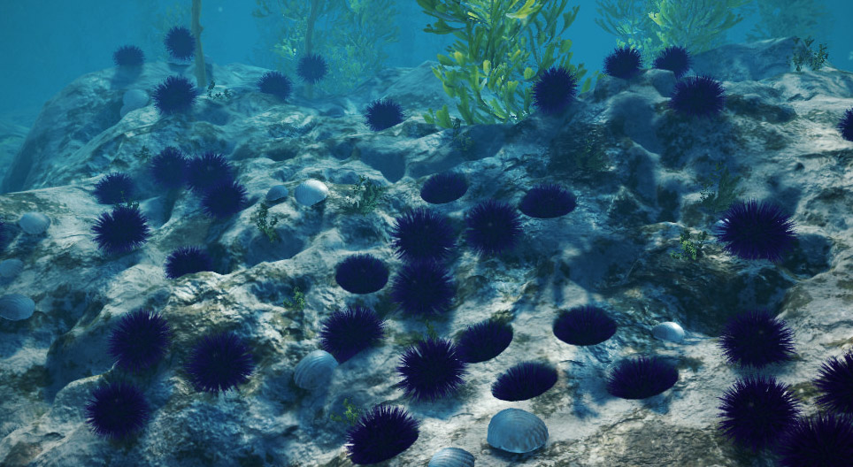 Нил ягаан далайн зараа