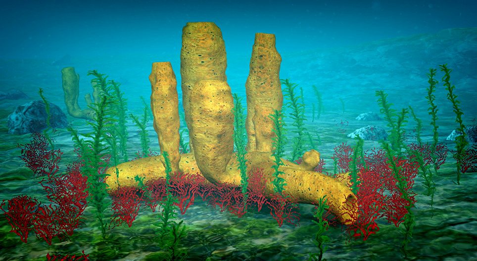 Хөвөн биетэн