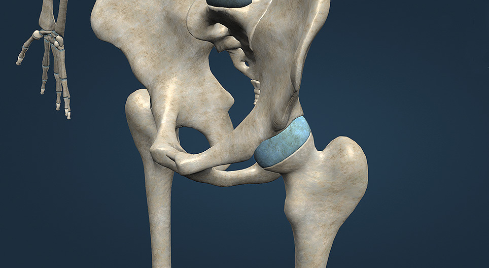 үений төрлүүд