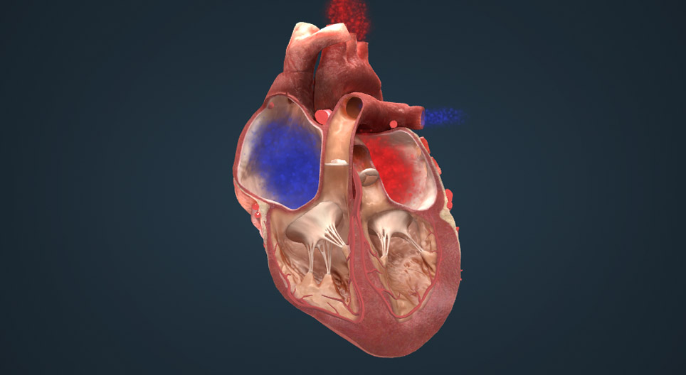 Зүрхний цахилгаан дамжуулах систем