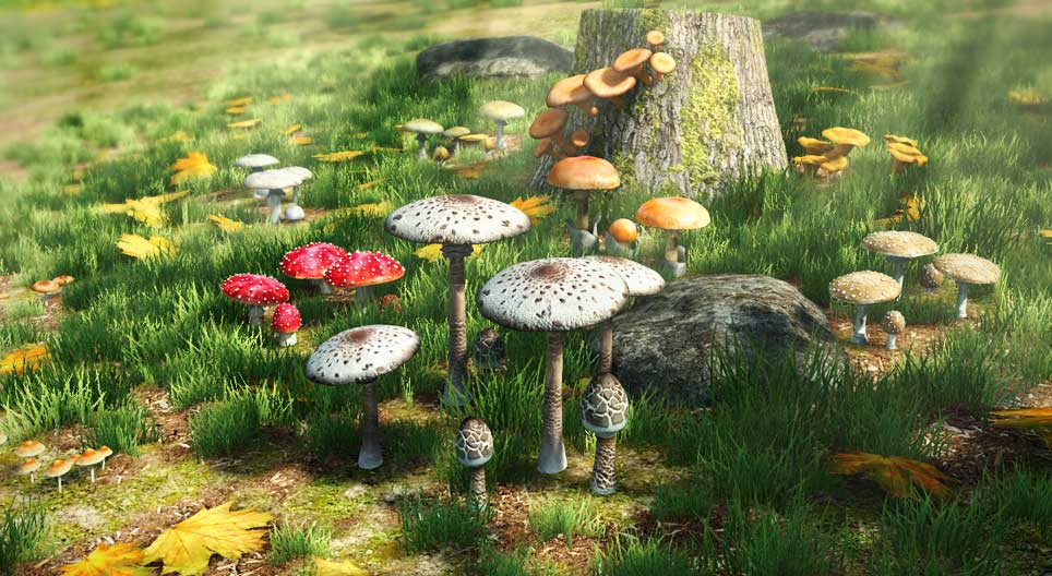 Хүнсний болон хортой мөөгний ялгаа