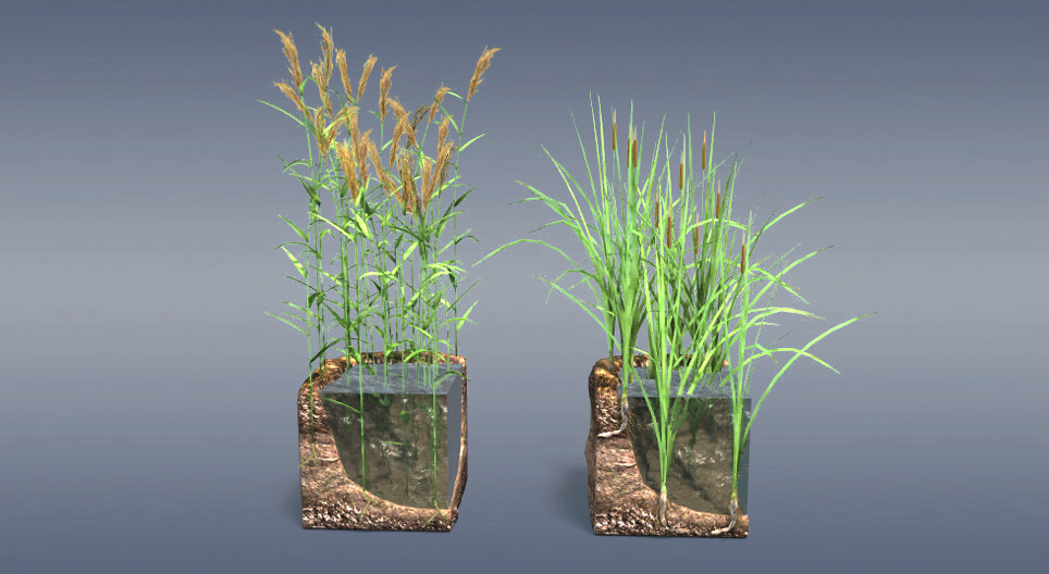 Шагшуурга болон жагмаа