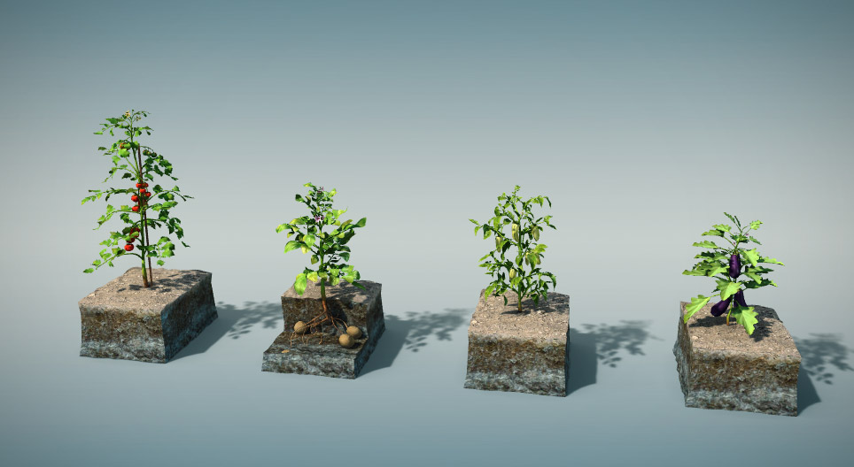 Хүнсний чисэнцэр