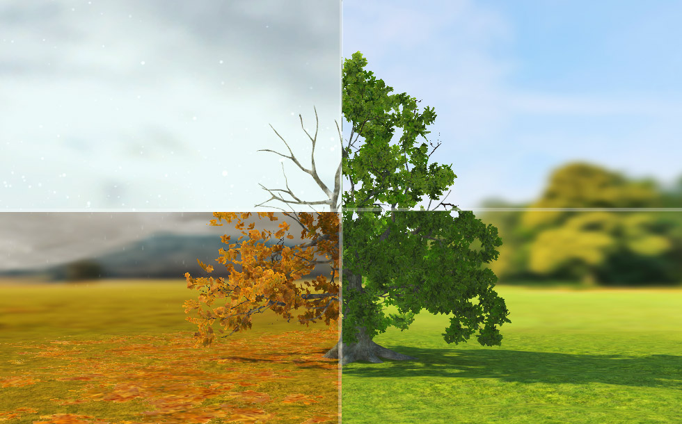 Англи царс (суурь мэдээлэл)