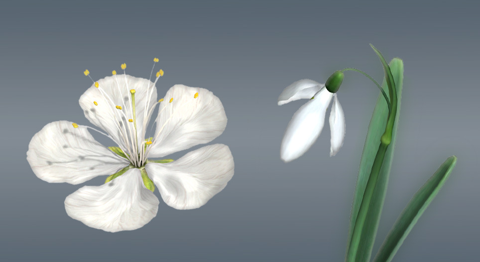 Далд үрт ургамлын цэцэг