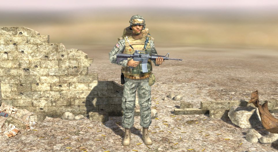 Америк усан цэрэг (XXI зууны эхэнд)