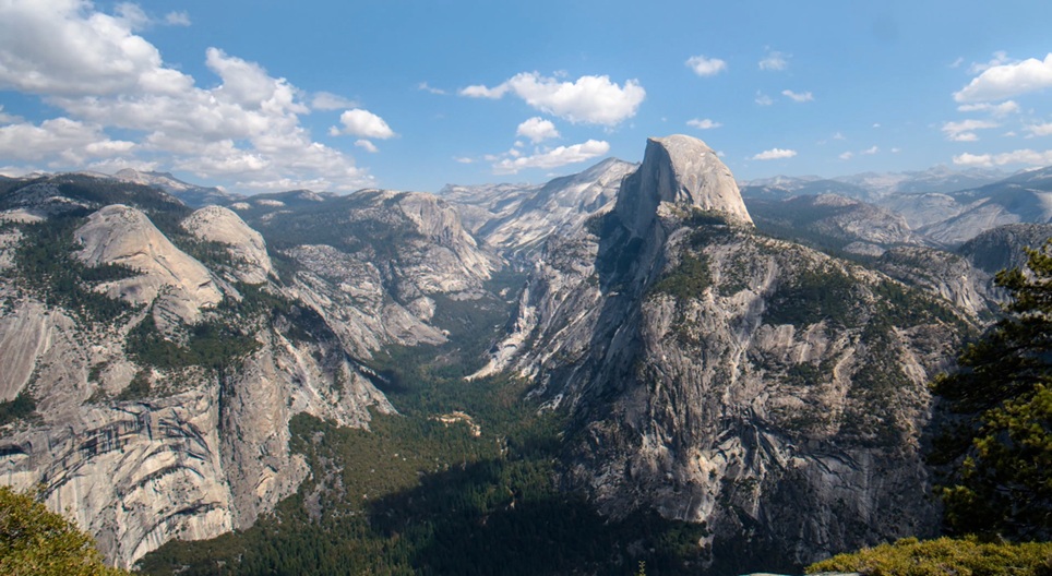 Сургалтын видео