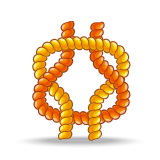 Зангилааны төрлүүд