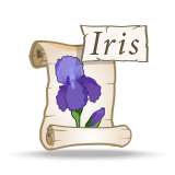 Эмийн ургамлын латин нэрнүүд