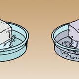 Элсэн чихэр нь хүйтэн уснаас халуун усанд харьцангуй амархан уусдаг