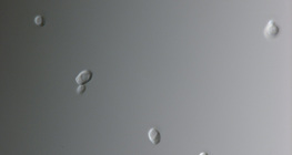 Кандида мөөгөнцөр (ихэнхдээ үтрээний халдвар үүсгэдэг)