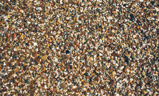 Голын тунамал