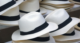 Малгайнууд