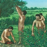 Балар эртний хүмүүс