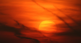 Жаргаж буй нар