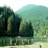 Улаан нуур, Румын улс