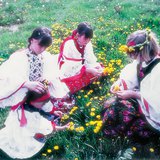 Охид багваахай цэцэгтэй тоглож байна