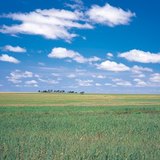 Унгарын их тэгш тал