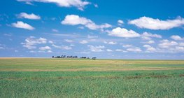 Унгарын их тэгш тал