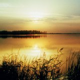 Жаргаж буй нар