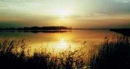 Жаргаж буй нар