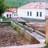 Уулын горхи