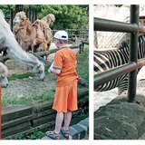 Амьтны хүрээлэнд алхах