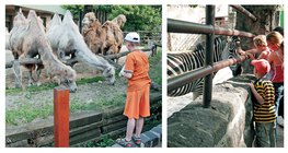 Амьтны хүрээлэнд алхах