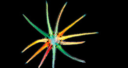 Одон үсэнцэр