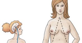 Өндгөн эсний дааврын зохицуулалт