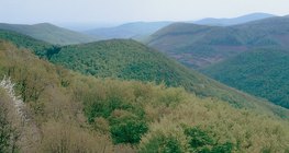 Дундаж өндөртэй уулс