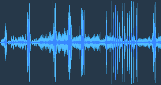 Western marsh harrier