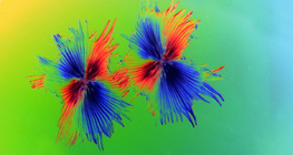 Одон үсэнцэр