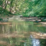 Бакони дахь Куха горхи (Унгар)