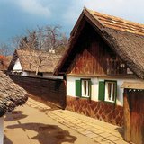 Сүрлэн дээвэрт байшин