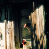 Тахианы үүр