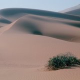 Сахарын цөлийн элсэн манхнууд