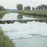 Усны бохирдол