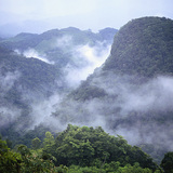 Лакандоны ширэнгэн ой