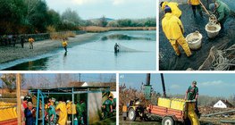 Мөрөг загасны аж ахуйд