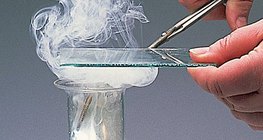 Магни хлортой урвалд орох нь