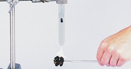 Хушганы энергийн агуулгыг шалгаж байна