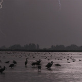 Цахилгаан цахих (аянга)