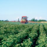 Тал хээр нь газар тариалангийн хамгийн чухал хэсэг юм