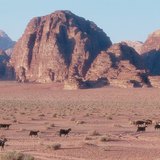 Wadi, an Arabic term for dry river bed